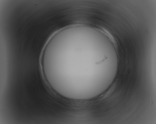 X0000096990899200802080917
