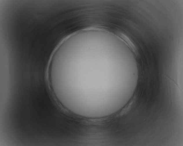 X0000096990900200802080917