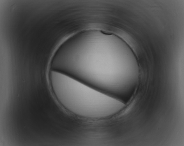 X0000096990901200802080917