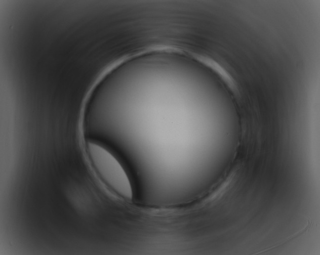 X0000096990902200802080917