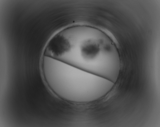 X0000096990903200802080917