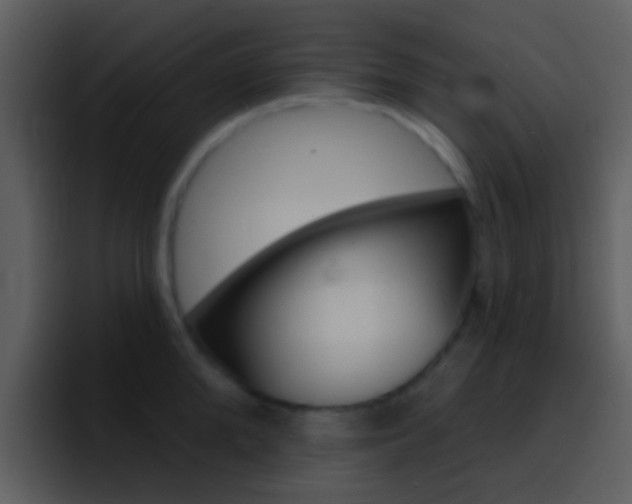 X0000096990904200802080917