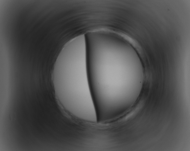 X0000096990905200802080917