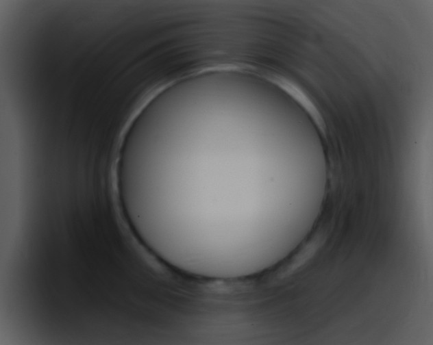 X0000096990906200802080917