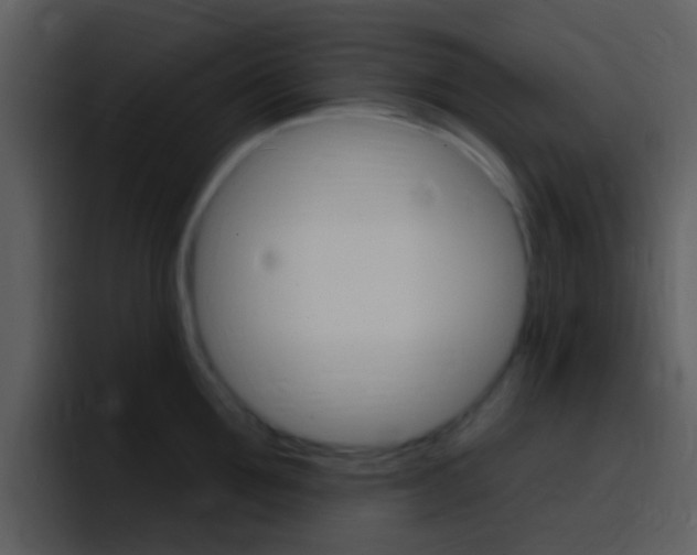 X0000096990907200802080917
