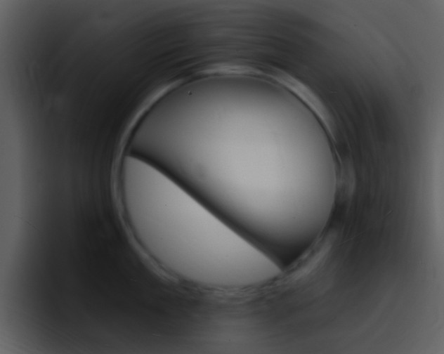 X0000096990909200802080917