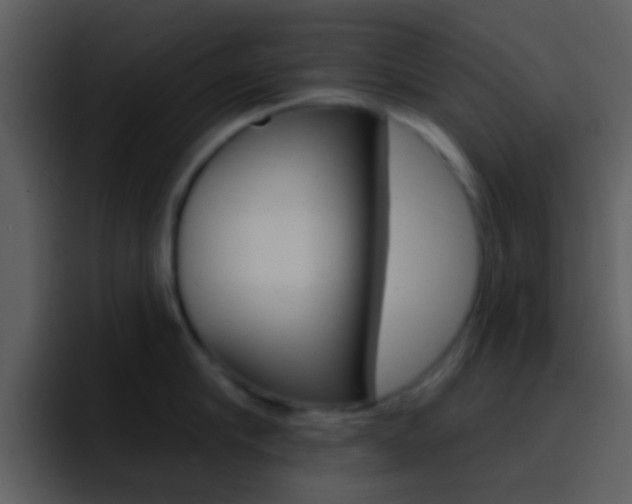 X0000096990910200802080917