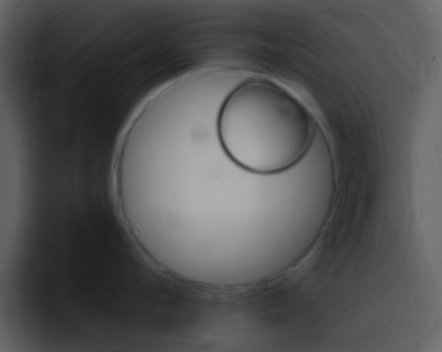 X0000096990912200802080917