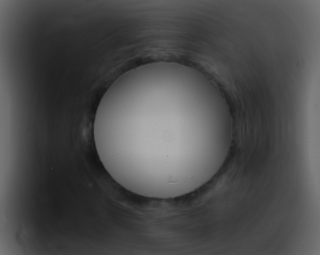 X0000096990914200802080916