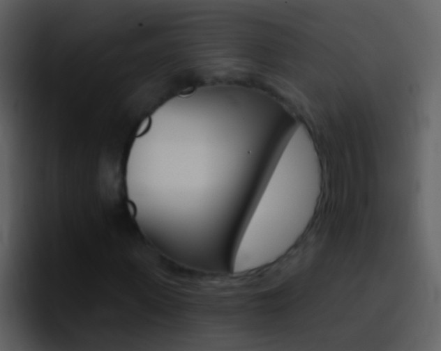 X0000096990915200802080916