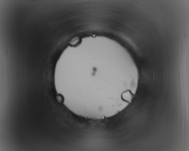 X0000096990918200802080916
