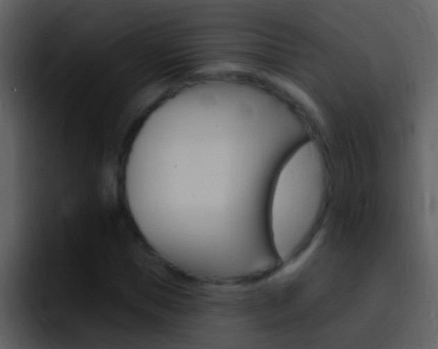 X0000096990921200802080916