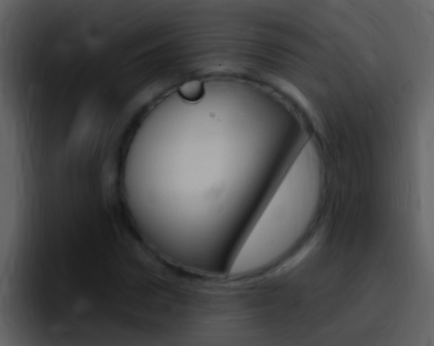 X0000096990922200802080916