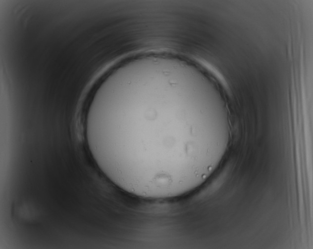 X0000096990925200802080916