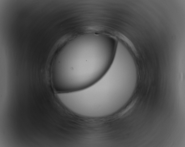 X0000096990930200802080916