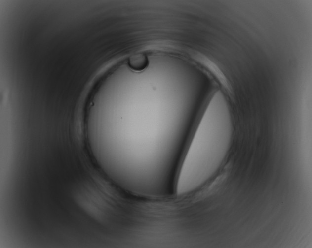 X0000096990931200802080916
