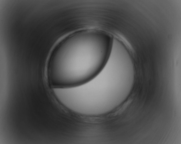 X0000096990932200802080916