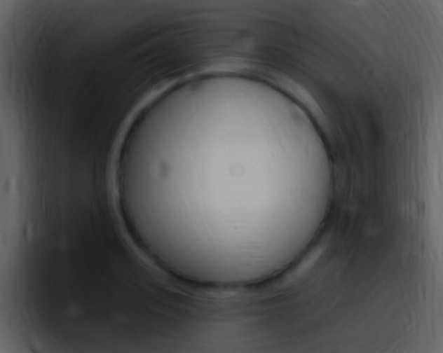 X0000096990939200802080916