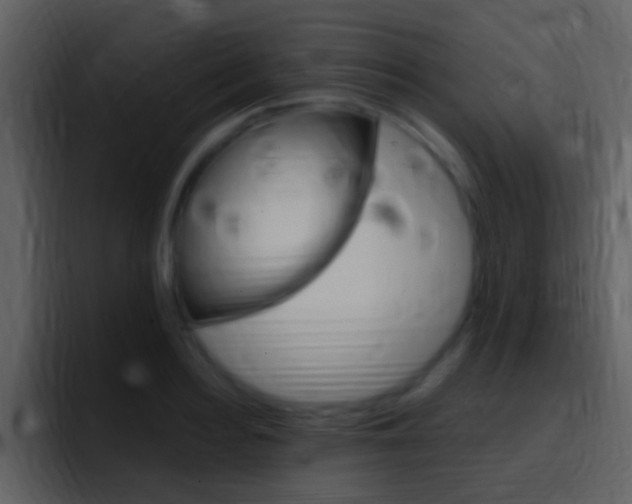 X0000096990940200802080916
