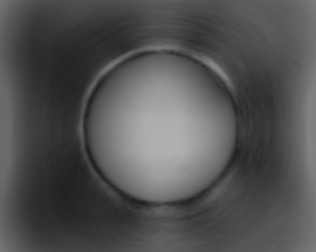 X0000096990943200802080916
