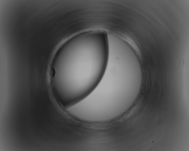 X0000096990944200802080916