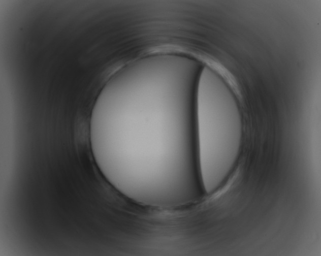 X0000096990945200802080917