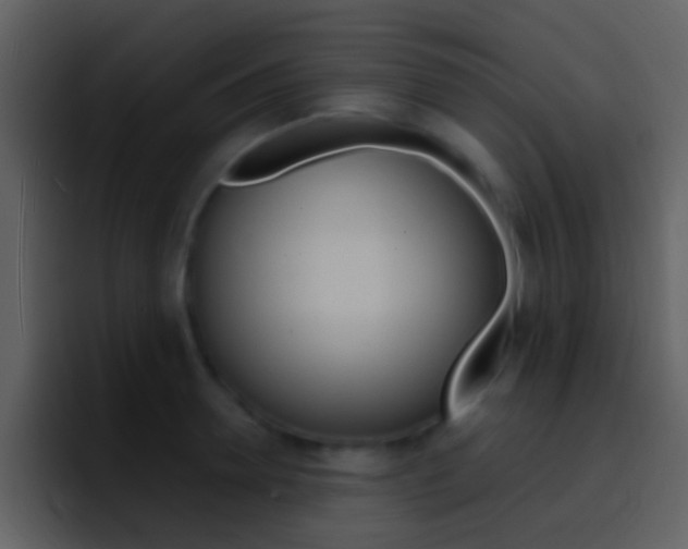 X0000096990946200802080917