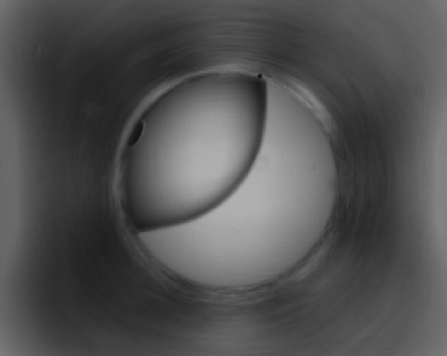 X0000096990948200802080917