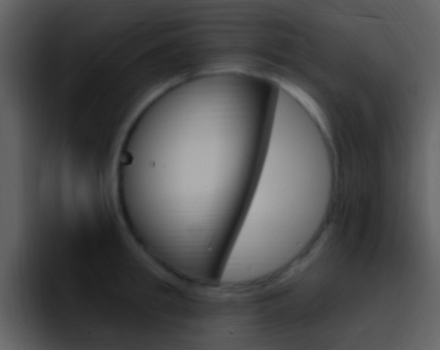 X0000096990949200802080917