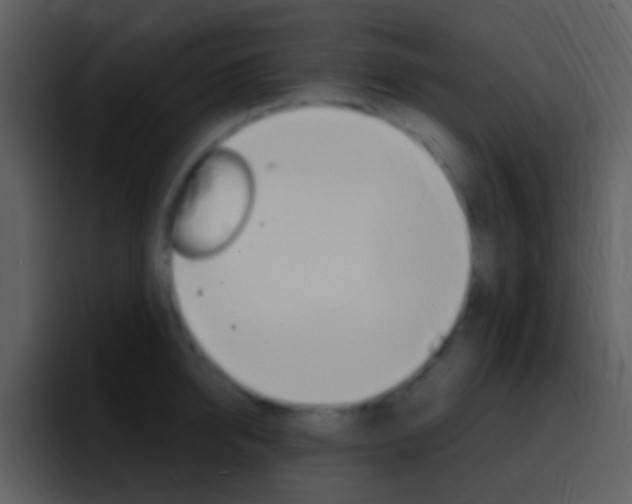 X0000096990950200802080917