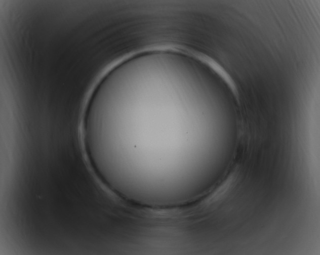 X0000096990951200802080917