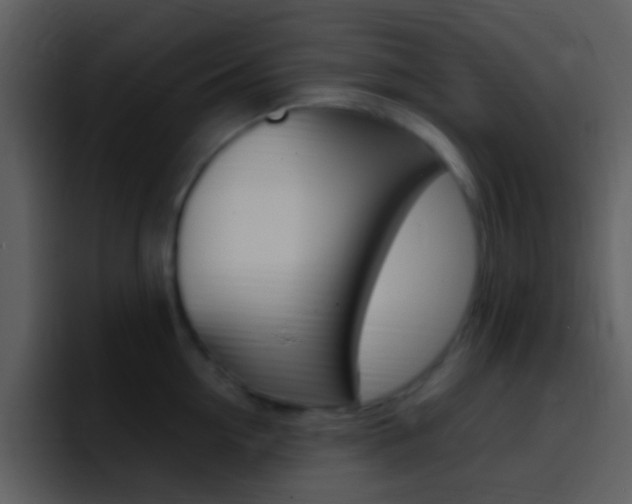 X0000096990954200802080917