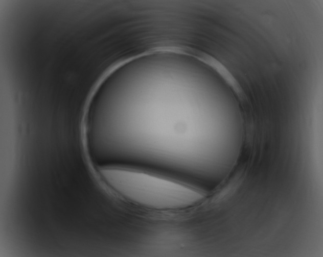 X0000096990955200802080917