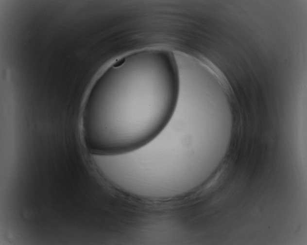 X0000096990956200802080917
