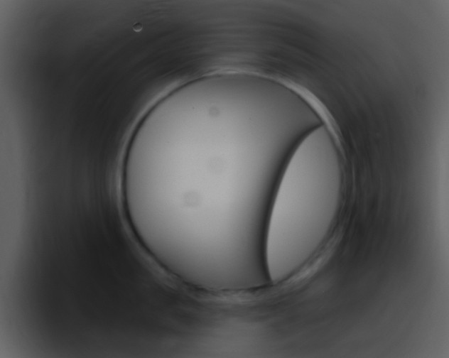 X0000096990957200802080917