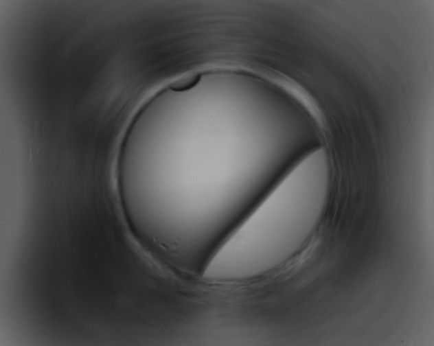 X0000096990958200802080917