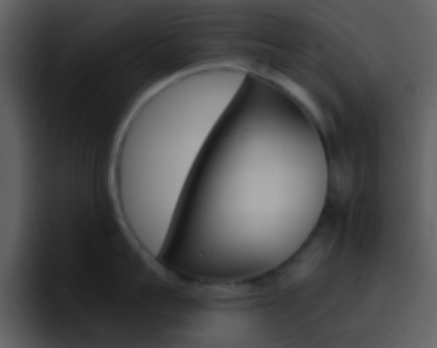 X0000096990959200802080917