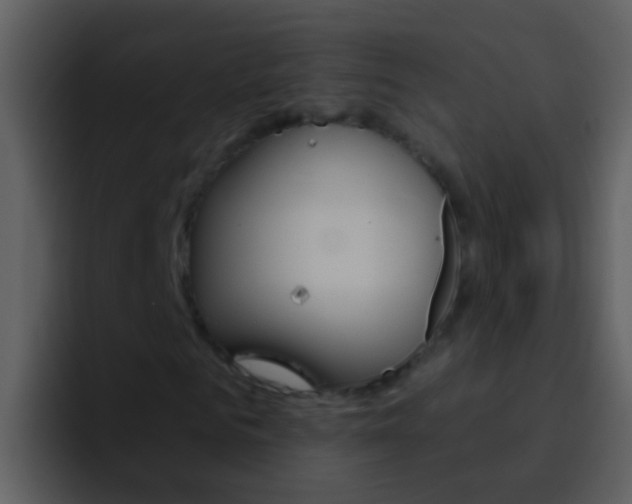 X0000096990961200802080916