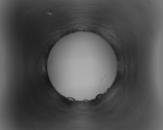 X0000096990962200802080916