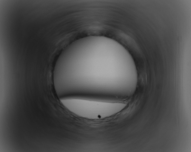 X0000096990964200802080916