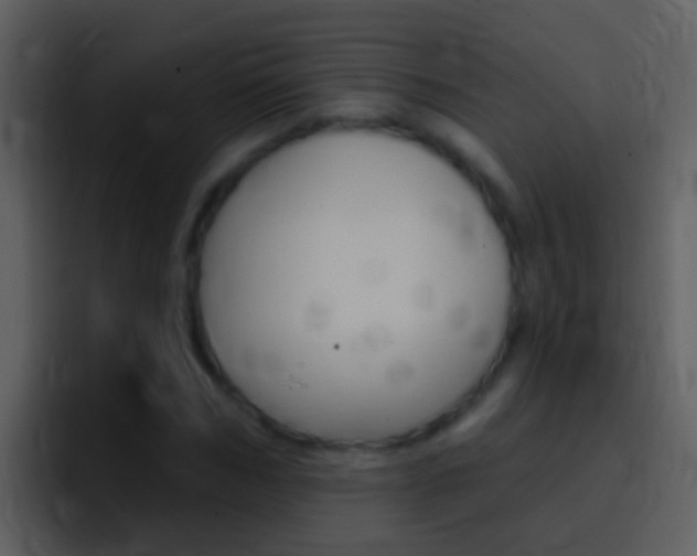 X0000096990970200802080916