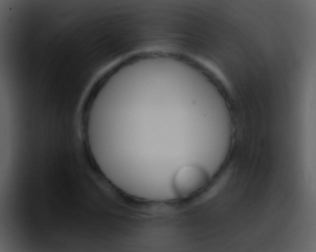 X0000096990974200802080916