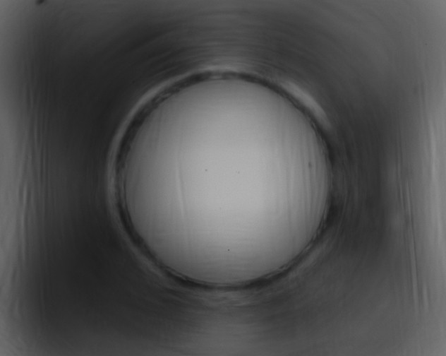 X0000096990976200802080916