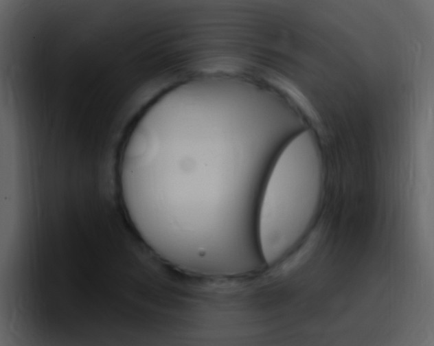 X0000096990978200802080916