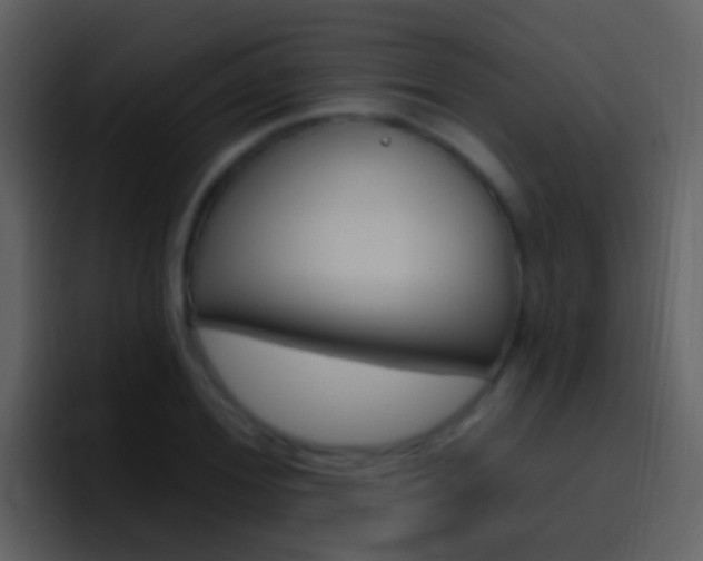 X0000096990980200802080916