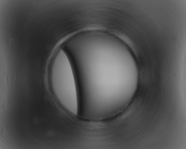 X0000096990983200802080916