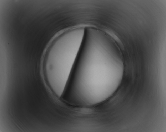 X0000096990984200802080916