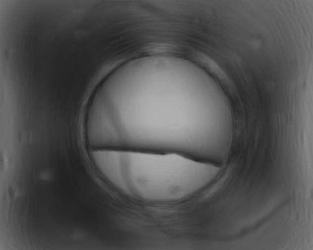 X0000096990986200802080916