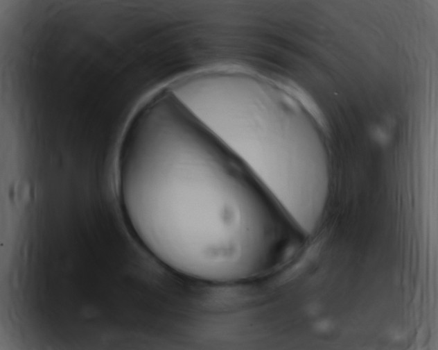 X0000096990988200802080916