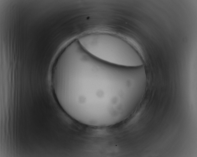 X0000096990990200802080916